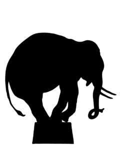 elephant-909273_1280