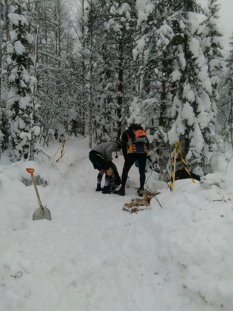 Entrada en el laberíntico bosque boreal finlandés 