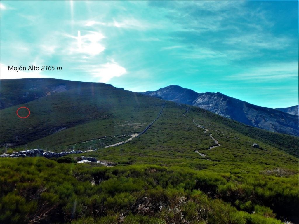 Al fin encuentro el muro de piedra y a su derecha el sendero