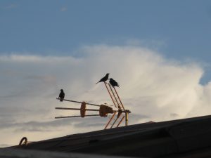 img_6825