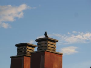 img_6833