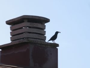 img_7303