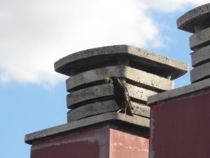 img_7310