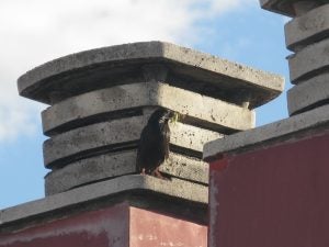 img_7324