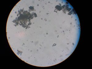 (S)Calib(1,1,1,1, 1, 1, 1); AWB(1088,1874); Info(252,850,223,0,1036,104,0)