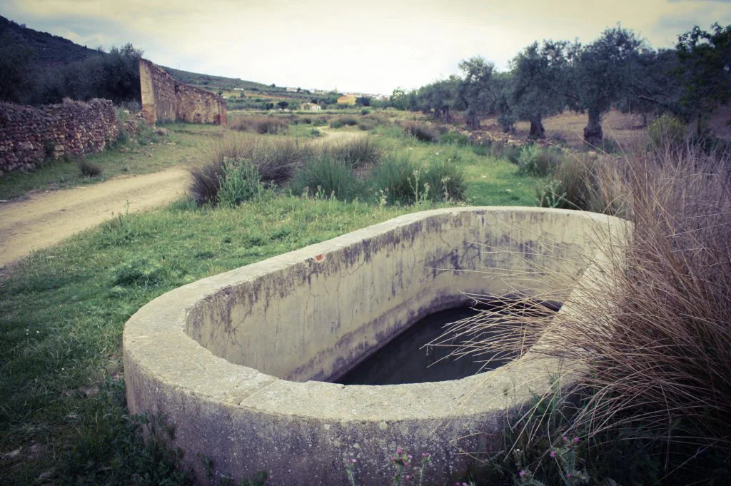 La fuente de la Velasca (A. Briz)