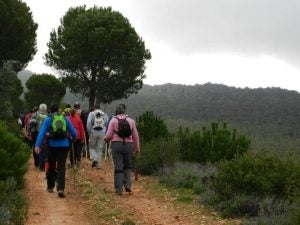 Senderistas caminando por la Sierra del Bravo, en Navalvillar de Pela