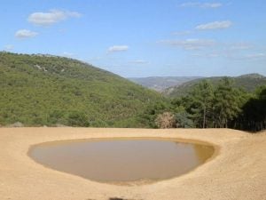 Paisaje de la ruta