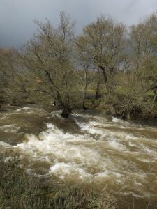 Cauce del río Gévora, en las inmediaciones de La Codosera:: A. MURILLO