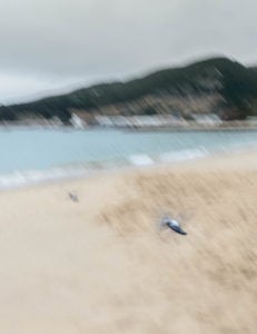 26098456605_65f3f888bd_o