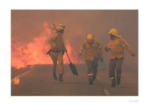 La fuerza de la naturaleza hace retroceder al hombre (2005).