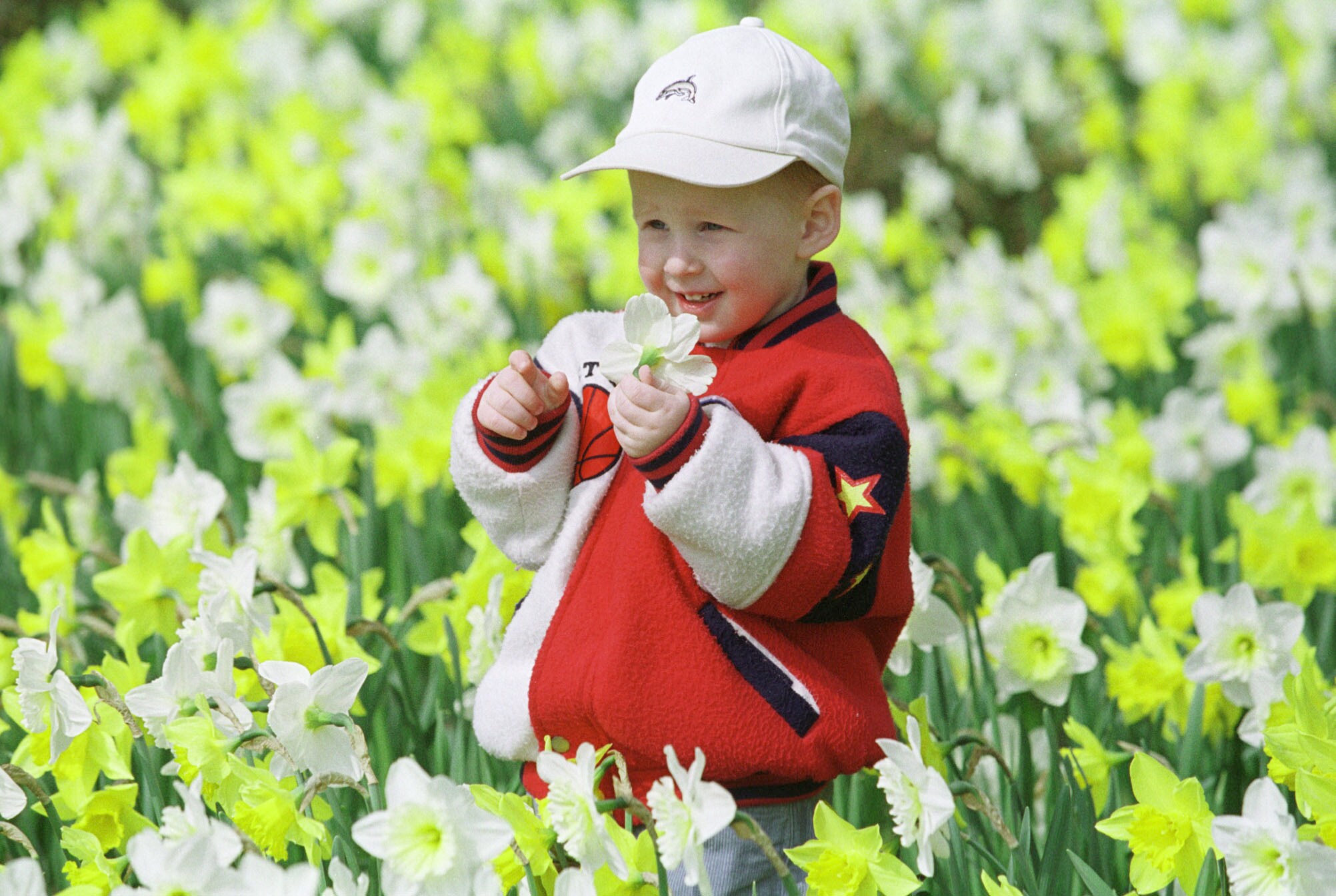 Como Explicarle A Un Niño Que Es La Primavera