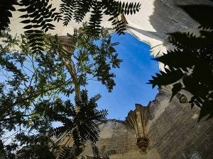 Detalle de los volúmenes del edificio entre la vegetación./ Víctor Gibello.