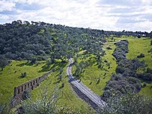 Camino de acceso y acueducto (V. Gibello).