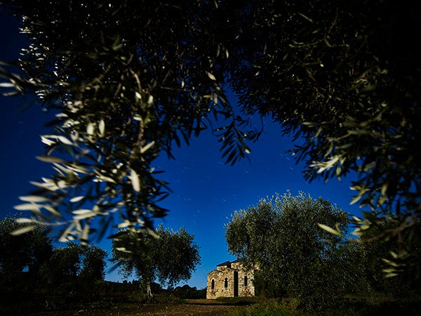 Santa Lucía entre olivos./ Víctor Gibello