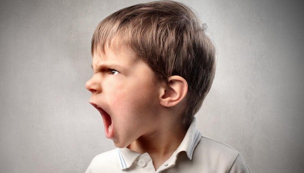 De padres flamencos, hijos farruquitos.